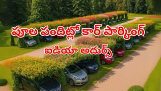 Tollywood : అందంలో అప్సరస.. పాత్రకు ప్రాణం పోసే తెలుగమ్మాయి.. ఈ బ్యూటీని గుర్తుపట్టగలరా.. ?