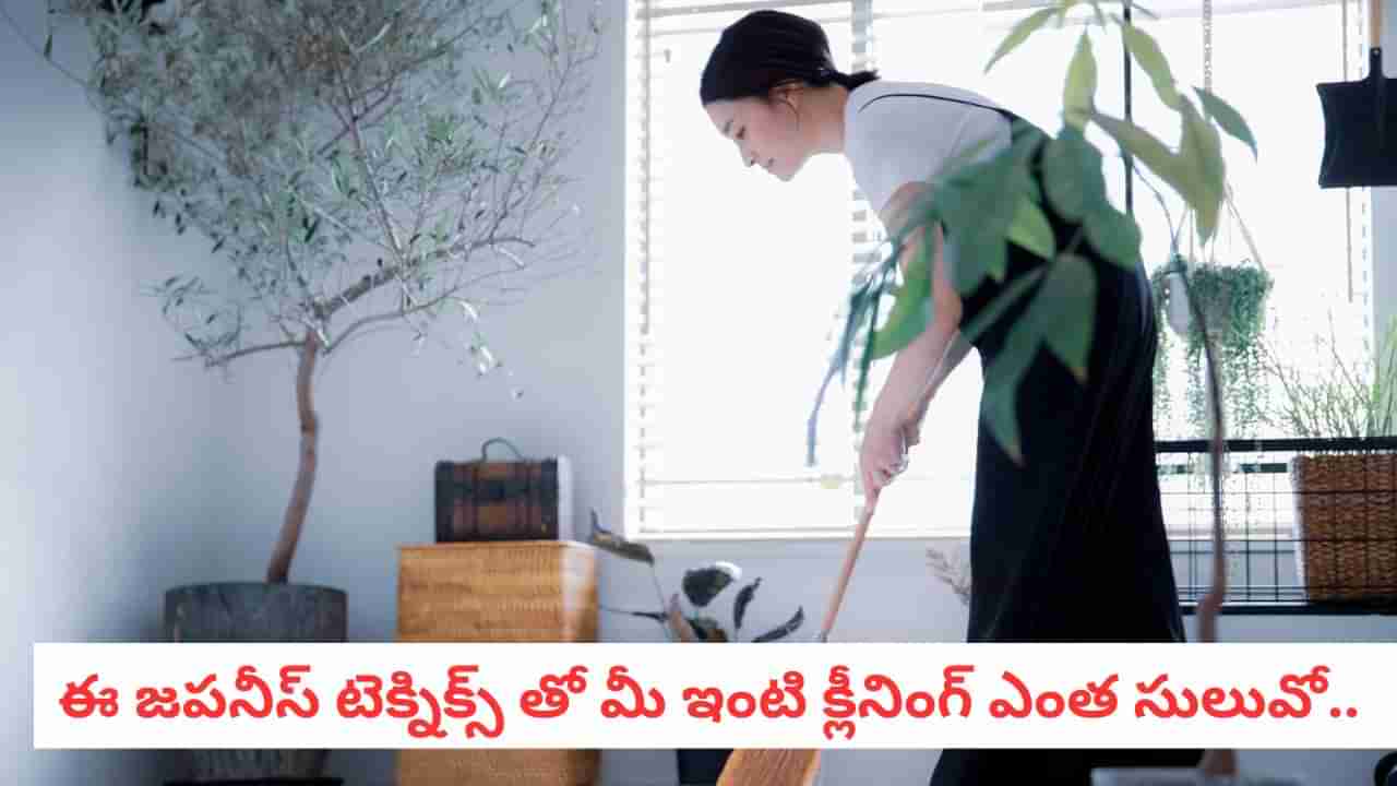 Cleaning Hacks: ఇంటిని శుభ్రంగా ఉంచుకోవడానికి జపనీయులు వాడే టెక్నిక్స్ ఇవే..