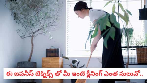 Cleaning Hacks: ఇంటిని శుభ్రంగా ఉంచుకోవడానికి జపనీయులు వాడే టెక్నిక్స్ ఇవే..