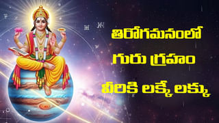 Vastu Tips for Money: ఎంత సంపాదించినా డబ్బులు నిలవడం లేదా.. ఈ పరిహారాలు చేయండి.. లక్ష్మీదేవి అనుగ్రహం మీ సొంతం