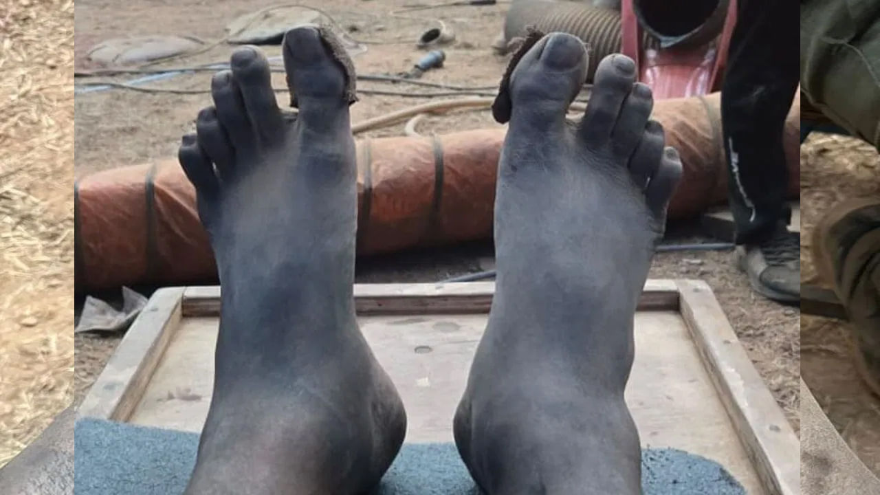 
'కాంతార: చాప్టర్ 1' క్లైమాక్స్ షూటింగ్ సమయంలో రిషబ్ శెట్టి కాళ్ళు వాచి, శరీరం మొత్తం అలసిపోయింది. అయినప్పటికీ అతను ఆగకుండా షూటింగ్ కొనసాగించాడు.
