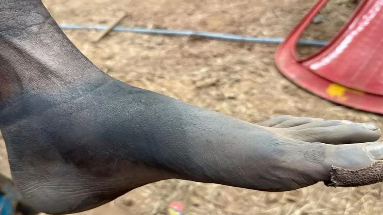 షూటింగ్ లొకేషన్ చేరుకోవడానికి గంటల తరబడి నడవడం, మేకప్ వేసుకోవడం, క్లిష్ట పరిస్థితులను ఎదుర్కోవడం వంటి అటవీ ప్రాంతంలో రిషబ్ వందలాది కష్టాలను ఎదుర్కొన్నాడు.
