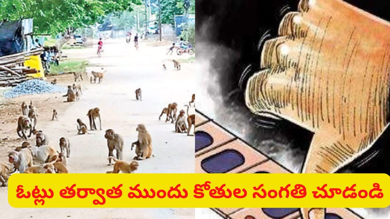 ఓట్లు కావాలంటే.. కోతులు పోవాల్సిందే.. సర్పంచ్‌ అభ్యర్థుల ఎదుట సరికొత్త డిమాండ్