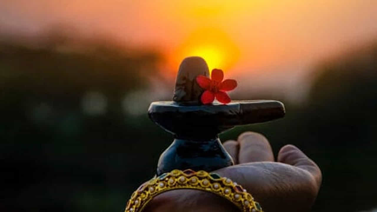 చాలా పవిత్రమైన మాసాల్లో కార్తీక మాసం ఒకటి. ఈ సమయంలో ప్రతి ఒక్కరూ శివుని పూజలు చేస్తూ శివారాధన చేస్తుంటారు. 2025వ సంవత్సరంలో అక్టోబర్ 21 నుంచి కార్తీక మాసం మొదలై, నవంబర్ 20న ముగుస్తుంది.