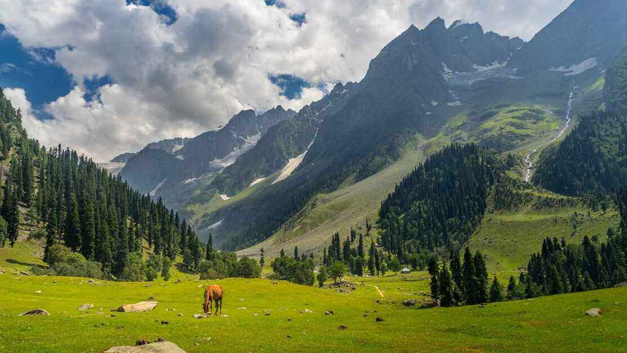 రాజస్థాన్ లోని అద్భుతమైన కోటలు, కేరళలోని బ్యాక్ వాటర్స్ లేదా హిమాలయాల ప్రశాంత వాతావరణం మీకు నచ్చినా, ఈ అక్టోబర్ నెలలో ప్రయాణ ప్రియులకు దేశ వైవిధ్యభరితమైన ప్రకృతి దృశ్యాలు, శక్తివంతమైన సంప్రదాయాలను అన్వేషించడానికి గొప్ప సమయం లభిస్తుంది. ఈ పోస్ట్‌లో అక్టోబర్‌లో సందర్శించడానికి ఉత్తమమైన ప్రదేశాలను చూడండి.
