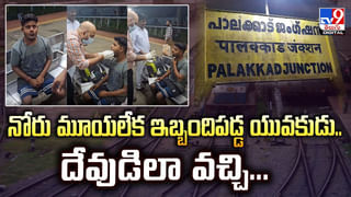 ఆ చెట్టు ఆకుల్లో బంగారం.. నిర్ధారించిన ఫిన్‌ల్యాండ్ శాస్త్రవేత్తలు