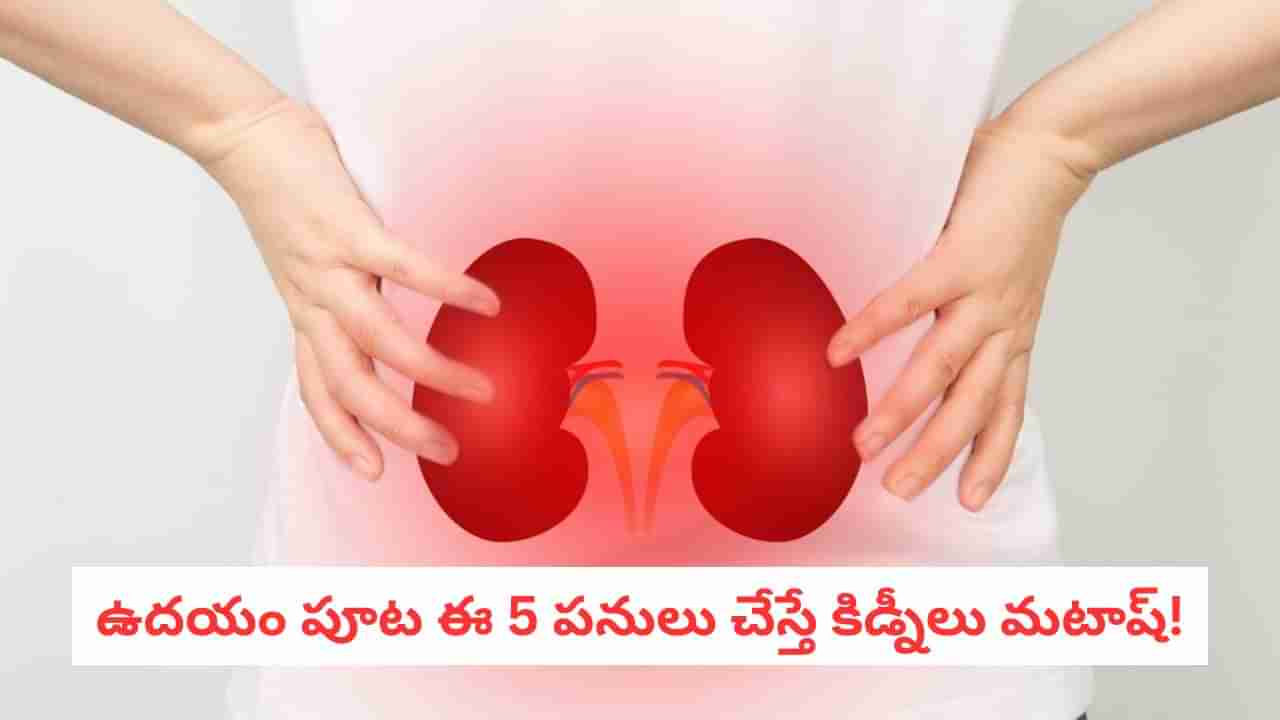 Kidney Health: ఉదయం ఈ తప్పు చేస్తున్నారు! కిడ్నీలు పోగొట్టుకుంటున్నారు..