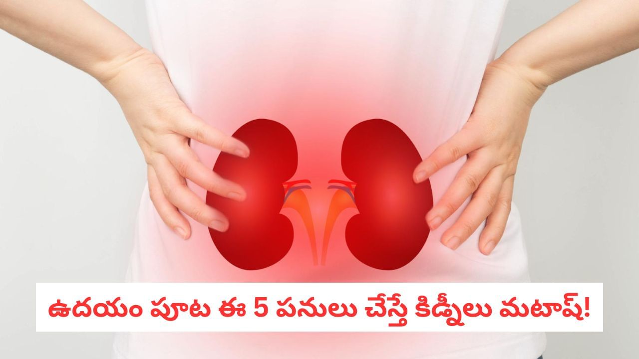 Kidney Health: ఉదయం ఈ తప్పు చేస్తున్నారు! కిడ్నీలు పోగొట్టుకుంటున్నారు..