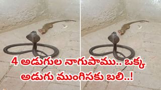 Watch: ఏం చేద్దాం.! టైం లేదు బ్రో..!! రిక్షా పై ఎలా సెట్ చేశావు రా అయ్యా..!