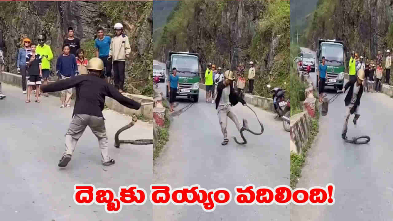 పెద్ద పోటుగాడిగా కోబ్రాను కొట్టేందుకు వచ్చాడు.. ఒక్కటి ఇవ్వగానే.. తుర్రుమంటూ..!