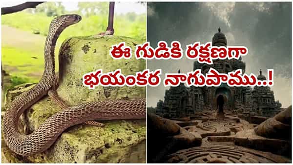 Watch: గుడికి రక్షణగా భయంకర నాగుపాము..! ఆ బుసలు వింటేనే గుండెలు గుభేల్..!! షాకింగ్ వీడియో