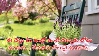 Unique Shiva Temple: చంద్ర దోషమా, దంపతుల మధ్య గొడవలా.. ఇక్కడ శివయ్యకు తులసి దళాలతో పూజ చేయండి..