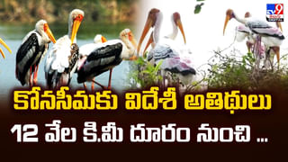 జువెలరీ షాపే టార్గెట్‌.. అయ్యాకొడుకుల ఖతర్నాక్‌ ప్లాన్‌