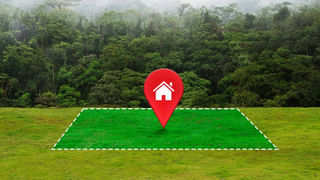 ఈ చెట్లు మీ ఇంట్లో ఉంటే డబ్బుకు లోటు ఉండదు..! దేవతలు కొలువై ఉంటారు..