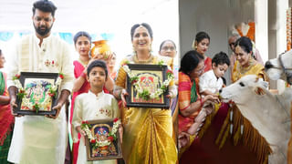 Intelligent Animal: అడవిలో అత్యంత తెలివైన జంతువు ఏదో తెలుసా? మీరు అస్సలు ఊహించలేరు