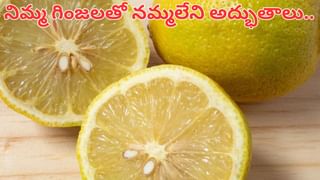 Zodiac signs: ఈ రాశులవారు వెండి ఉంగరం ధరిస్తే.. పట్టిందల్లా బంగారమే..!