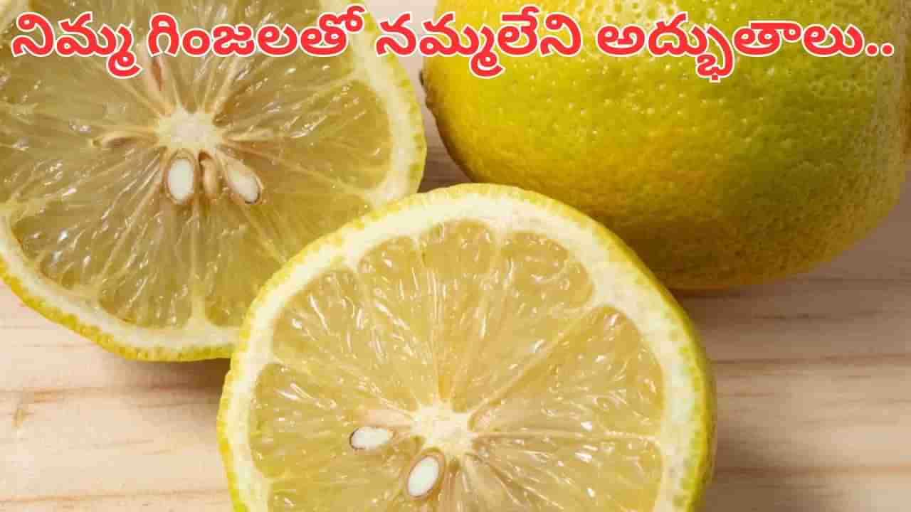 Lemon Seeds: నిమ్మ గింజలను పారేస్తున్నారా.. మీరు పెద్ద తప్పు చేస్తున్నట్లే.. ఎందుకంటే..?