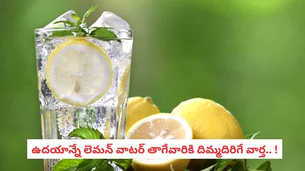 Lemon Water: డిటాక్స్ చేస్తుందా? బరువు తగ్గిస్తుందా? నిమ్మరసంపై డాక్టర్లు చెప్పేది వింటే షాకే..