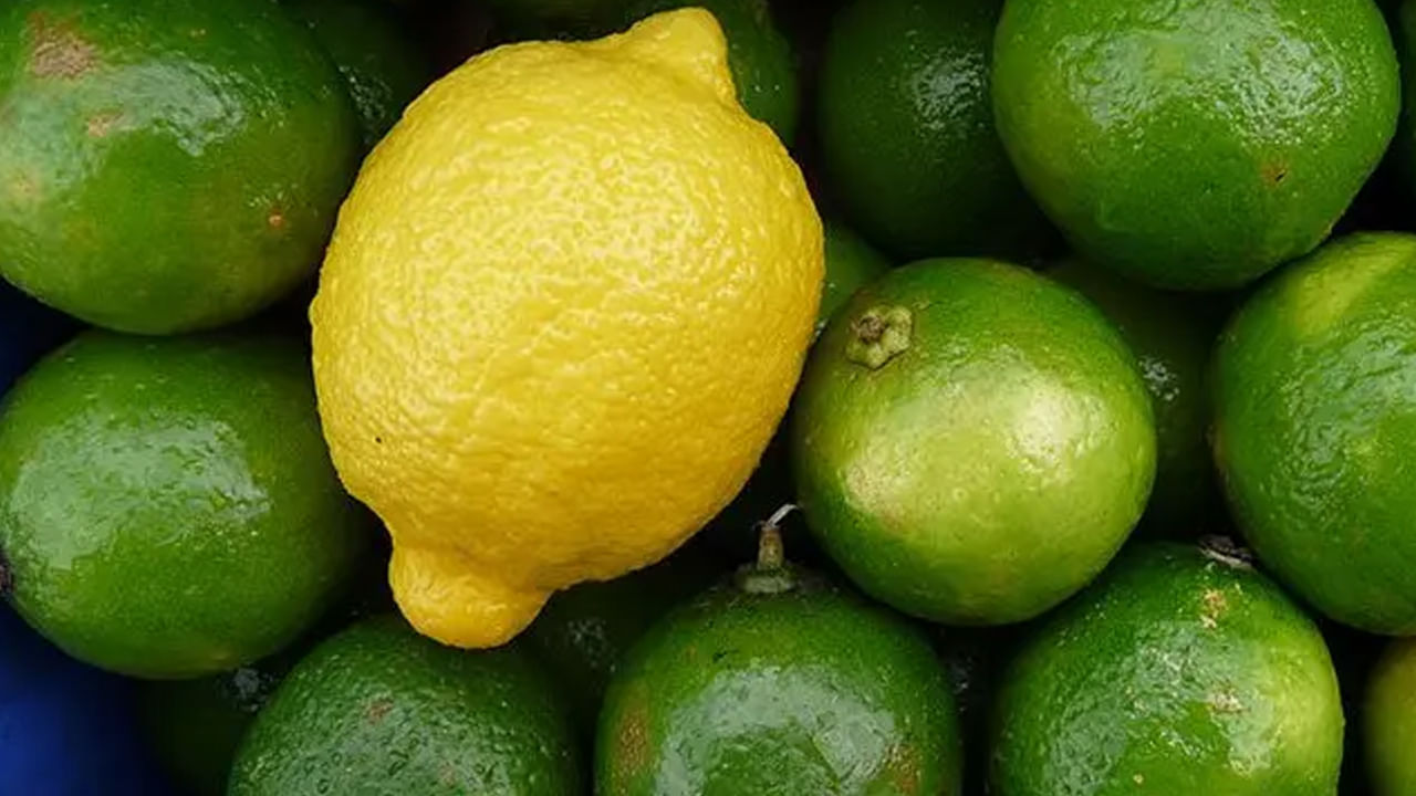 నిమ్మకాయలు రెండు కూడా రంగు మాత్రమే వేరు కానీ , వాటి పరిణామం, సువాసన, రుచి అన్నీ ఒకే విధంగా ఉన్నట్టు అనిపించినా, వీటిలో చాలా తేడాలు ఉంటాయంటున్నారు నిపుణులు. అవి ఏమిటంటే?