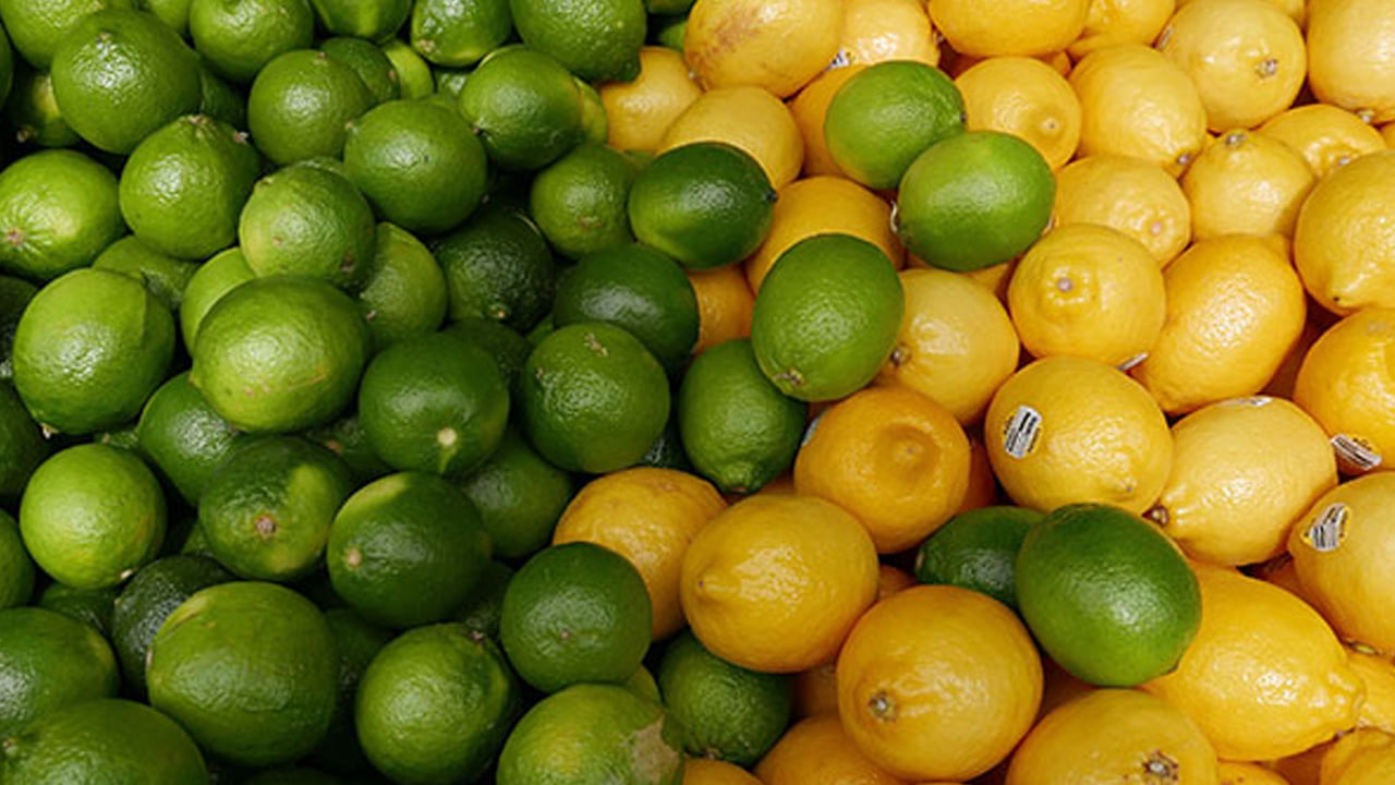 ఇక ఆకు పచ్చ నిమ్మకాయలో యాంటీ ఆక్సిడెంట్స్ ఎక్కువగా ఉండటం వలన ఇవి, జీర్ణ సమస్యలు ఉన్నవారికి బెస్ట్ అని చెప్పాలి. ఇందులో ఉండే ఫ్లేవనాయిడ్స్, జీర్ణసమస్యలను తగ్గించడమే కాకుండా, శరీరంలోని వాపును కూడా తగ్గిస్తాయి.