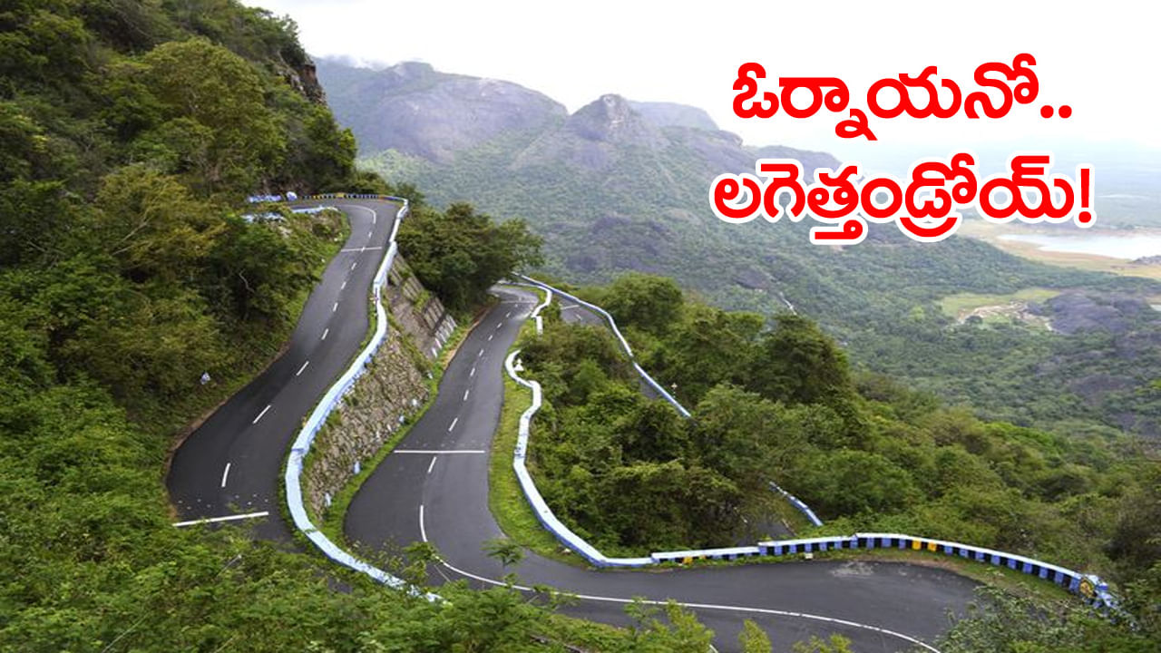 Viral Video: కొండపై తీరిగ్గా కూర్చున్న వింత ఆకారం.. ఏంటాని చూడగా గుండె గుభేల్‌!