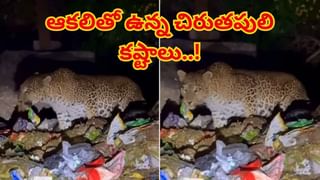 Video: యాక్‌.. ఈ వీడియో చూస్తే ఇంకోసారి మీరు ట్రైన్‌లో ఫుడ్‌ తినరు! వాడి పడేసినవి ఏరుకొచ్చి..
