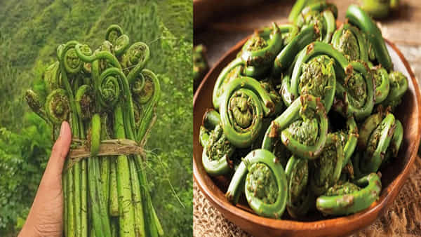 Lingad vegetable: ఈ అడవి కూరగాయ ఔషధాల నిధి..! ఎక్కడ కనిపించినా వదలకుండా తెచ్చుకోండి.. ఎందుకంటే..?