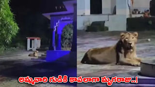 రావణుడి గొంతుతో కూరగాయలు అమ్ముతున్న యువకుడు.. మహిళలంతా ఏం చేశారంటే..