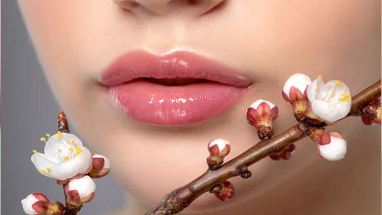 మన శరీరం అనేక భాగాలతో రూపొందించబడింది. వాటిలో కొన్ని తెలిసినవి, మరికొన్ని తెలియనివి ఉన్నాయి. ముఖ్యంగా అన్ని శరీర భాగాల పేర్లు మనలో చాలా మందికి తెలియవు. అలాంటిదే ముక్కు, పై పెదవి మధ్య కనిపించే భాగం పేరు. ఈ భాగాన్ని ఏమని పిలుస్తారో చాలా మందికి తెలియదు.