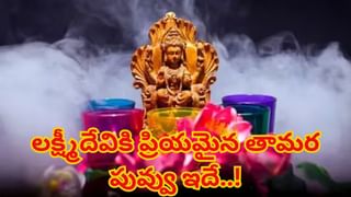 World Food Day 2025: మన దేశంలోనే కాదు విదేశాల్లో ఈ ఆహారాలకు ఫుల్ డిమాండ్..