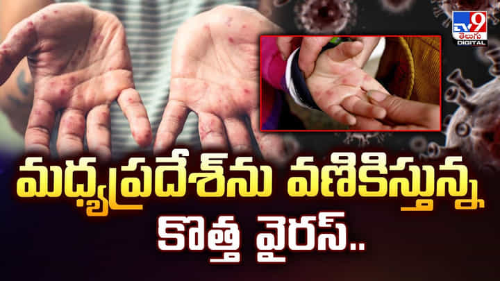 మధ్యప్రదేశ్ను వణికిస్తున్న కొత్త వైరస్ వీడియో మధ్యప్రదేశ్ను వణికిస్తున్న కొత్త వైరస్ వీడియో