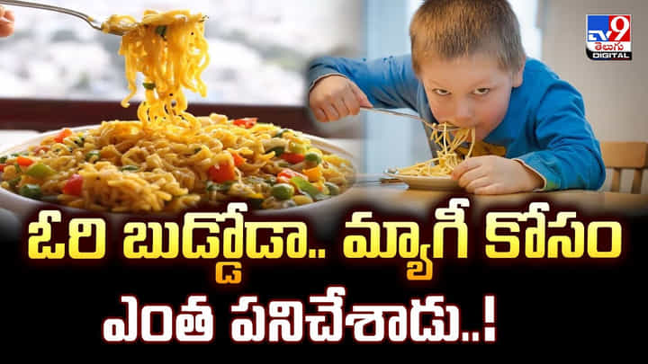 ఓరి బుడ్డోడా.. మ్యాగీ కోసం ఎంత పనిచేశాడు ఓరి బుడ్డోడా.. మ్యాగీ కోసం ఎంత పనిచేశాడు