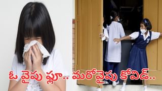 US: చైనాతో రహస్య సమావేశాలు.. కీలక సమాచారం లీక్‌.. అమెరికాలో భారత సంతతి నిపుణులు అరెస్ట్‌