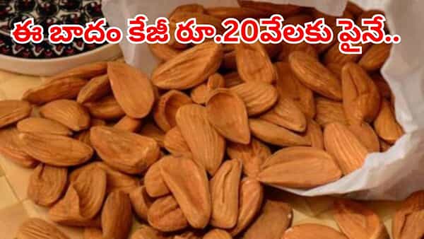 బాబోయ్.. ఈ బాదం ధర తెలిస్తే కళ్లు బైర్లు కమ్మాల్సిందే..! బెనిఫిట్స్ మాత్రం బోలెడు..