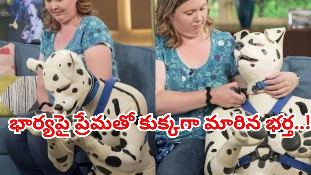 వార్నీ వీడి ప్రేమ సల్లగుండా..! భార్యపై ప్రేమతో కుక్కగా మారిన భర్త.. అసలు సంగతి ఏంటంటే..