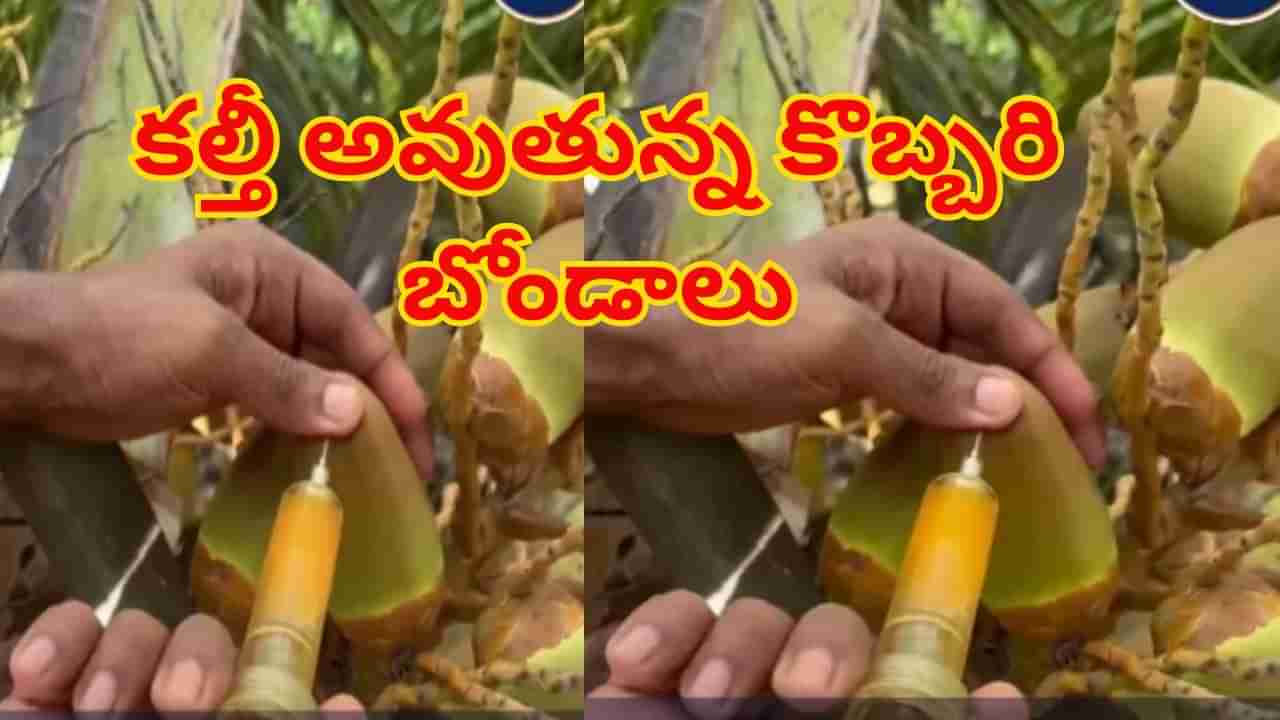 Watch: కల్తీ అవుతున్న కొబ్బరి బోండాలు.. షాకింగ్ వీడియో చూశారంటే..