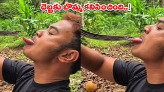 Viral Video: పైకి చూస్తే పుచ్చకాయల లోడ్ లారీ.. అనుమానమొచ్చి లోపలికి వెళ్లి చూడగా