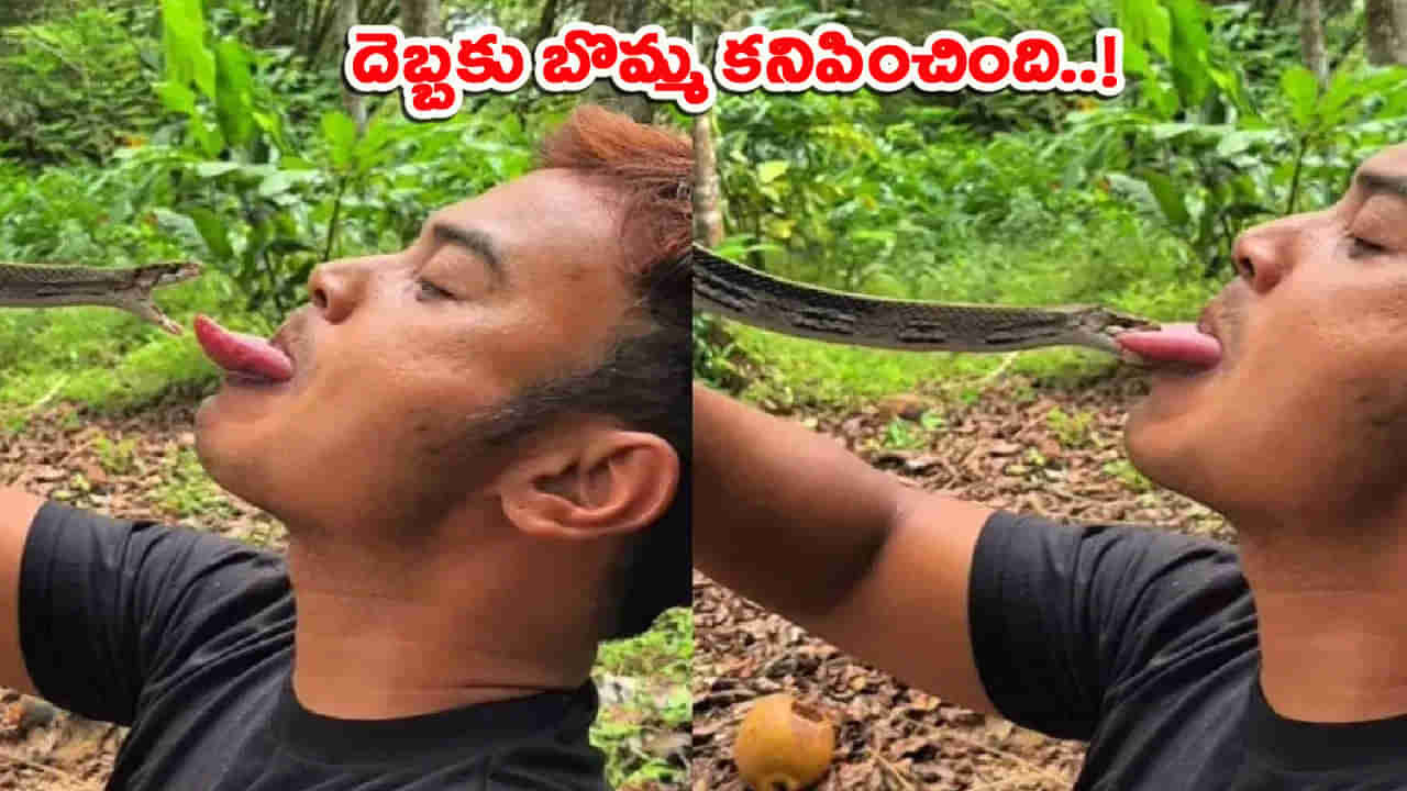 పామును ముద్దు పెట్టాలనుకున్నాడు.. దెబ్బకు బొమ్మ కనిపించింది.. వీడియో చూస్తే..!