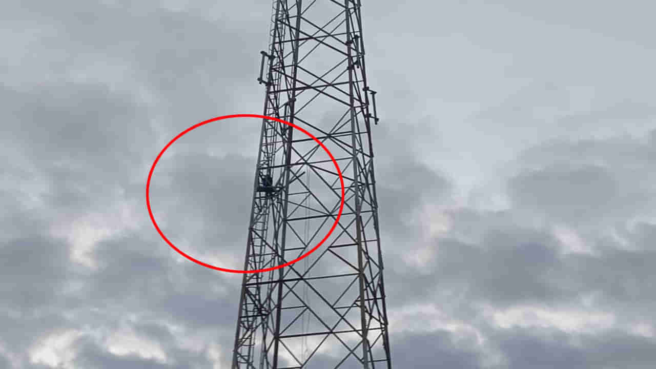 Watch Video: అలిగి పుట్టింటికి వెళ్లిన భార్య.. సెల్‌ టవర్‌ ఎక్కిన భర్త! ఆ తర్వాత సీన్ ఇదే.. వీడియో