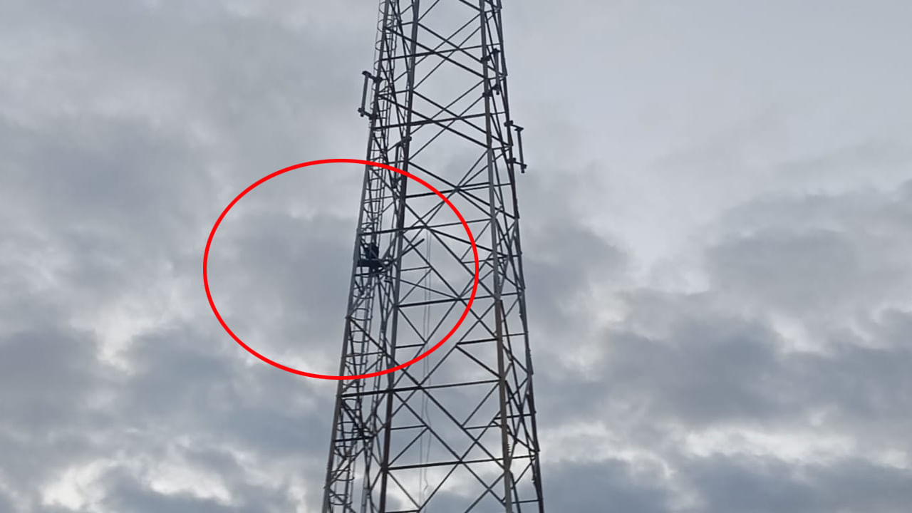 Watch Video: అలిగి పుట్టింటికి వెళ్లిన భార్య.. సెల్‌ టవర్‌ ఎక్కిన భర్త! ఆ తర్వాత సీన్ ఇదే.. వీడియో