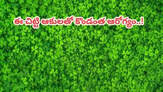 Weight Loss: 21 రోజుల్లో 7 కిలోలు హాంఫట్.. సెలబ్రిటీలు ఫాలో అవుతున్న డైట్ ఫార్ములా ఇదే