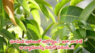 Pulichinta Aaku Benefits: ఈ చిట్టి ఆకులతో కొండంత ఆరోగ్యం..! ఈ విషయాలు తెలిస్తే అవాక్కే..