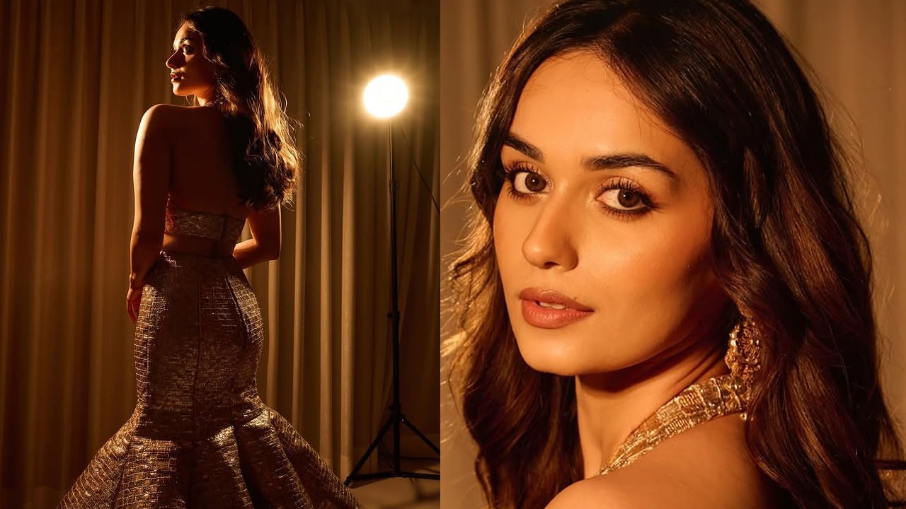 కానీ ఒక్క సినిమా కూడా బ్లాక్ బస్టర్ హిట్ అందుకోలేదు. దీంతో మెల్లి మెల్లిగా ఈ బ్యూటీ గ్రాఫ్ పడిపోయిది. ఇక తెలుగులో వరుణ్ తేజ సరసన ఆపరేషన్ వాలెంటైన్ మూవీతో టాలీవుడ్‌లోకి ఎంట్రీ ఇచ్చింది. కానీ ఈ మూవీ కూడా అంతగా హిట్ అవ్వకపోవడంతో ఈ అమ్మడు తెలుగు అభిమానుల మనసుదోచుకోలేకపోయింది.