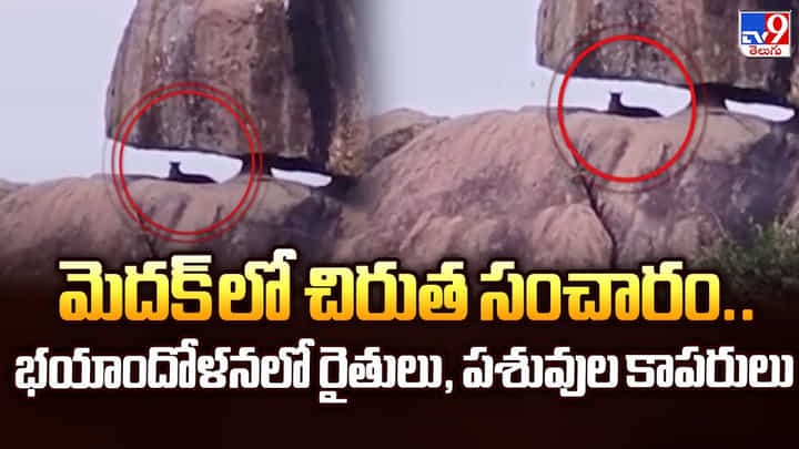 మెదక్ లో చిరుత సంచారం.. భయాందోళనలో రైతులు, పశువుల కాపరులు మెదక్ లో చిరుత సంచారం.. భయాందోళనలో రైతులు, పశువుల కాపరులు