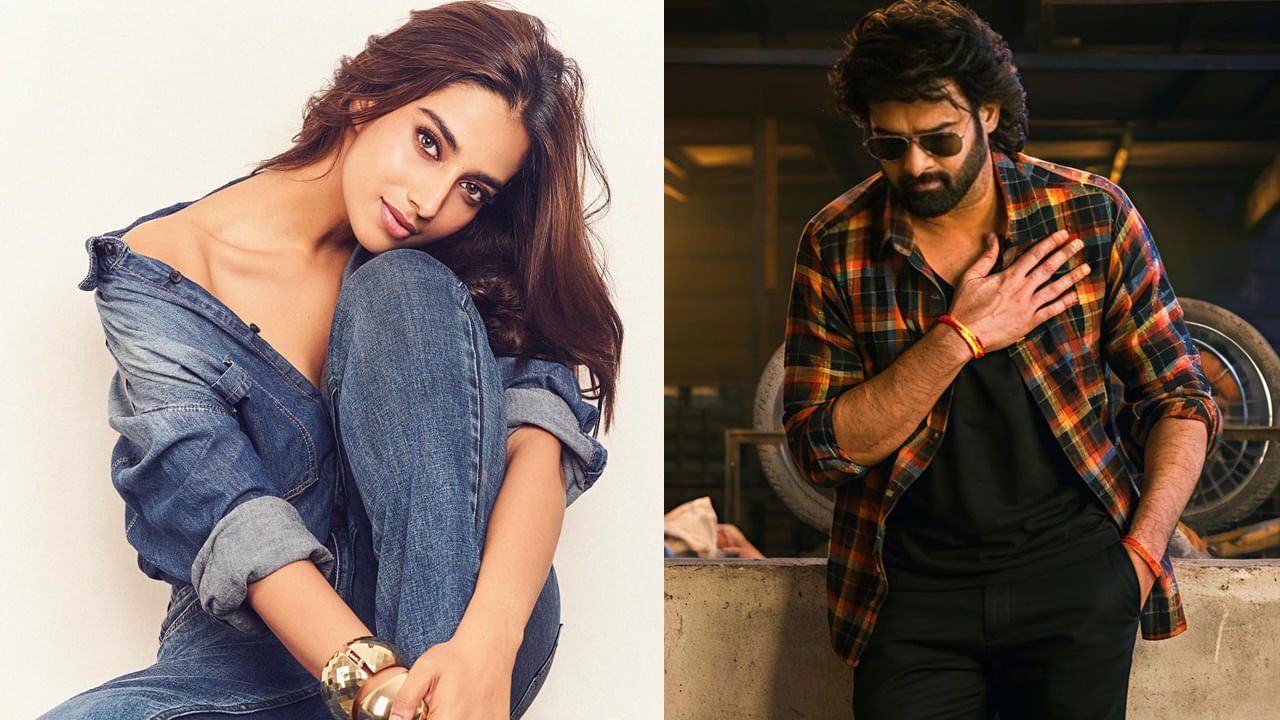 Meenakshi Chaudhary, Prabha