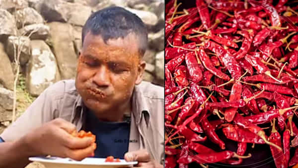 నువ్వు దేవుడు సామీ..! బ్రేక్ఫాస్ట్లో 10కిలోల మిరపకాయలు, ఎర్రటి కారం పొడితో స్నానం.. షాకింగ్ వీడియో చూస్తే..
