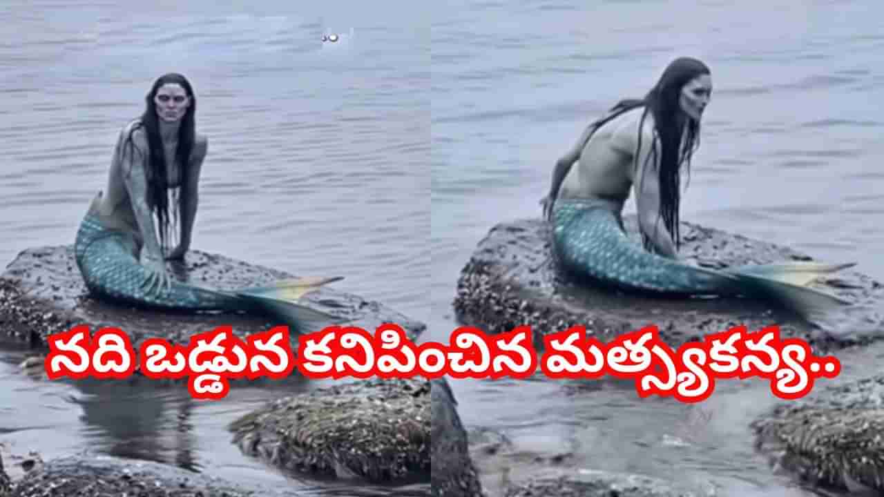 Viral Video: నది ఒడ్డున కనిపించిన మత్స్యకన్య.. వెంటనే అలర్ట్‌ అయిన వేటగాళ్లు..! ఏం చేశారంటే..