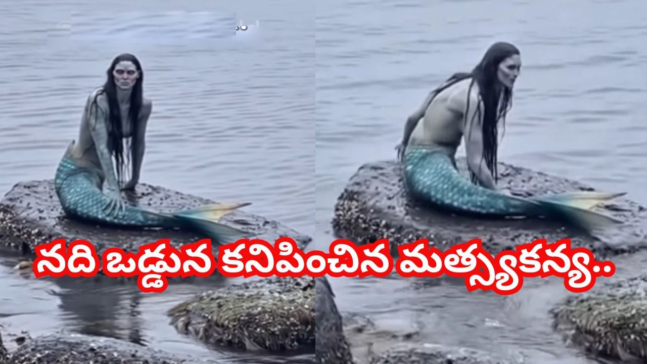 Viral Video: నది ఒడ్డున కనిపించిన మత్స్యకన్య.. వెంటనే అలర్ట్ అయిన వేటగాళ్లు..! ఏం చేశారంటే..