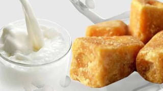 Tella Galijeru: ఔషధాల గని తెల్ల గలిజేరు.. లివర్, కిడ్నీ నుంచి కీళ్ల నొప్పులకు దివ్యఔషధం!