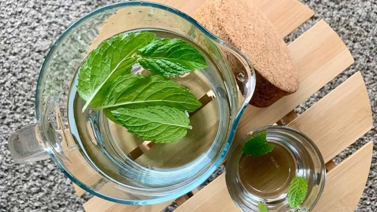 జలుబుకు చికిత్స చేస్తుంది: పుదీనా ఆకులు జలుబు, దగ్గు నుండి ఉపశమనం కలిగిస్తుంది. వాటిలో విటమిన్ సి, విటమిన్ ఎ, యాంటీ బాక్టీరియల్ లక్షణాలు ఉంటాయి. మీ జలుబు నుండి ఉపశమనం పొందడానికి మీరు పుదీనా టీ తాగవచ్చు.